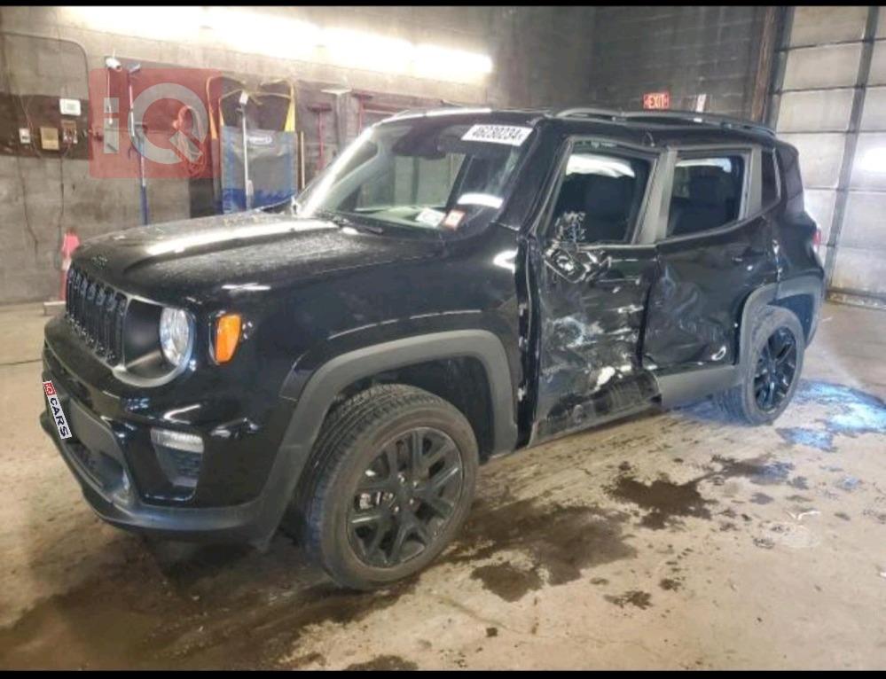 جيب رينيجيد